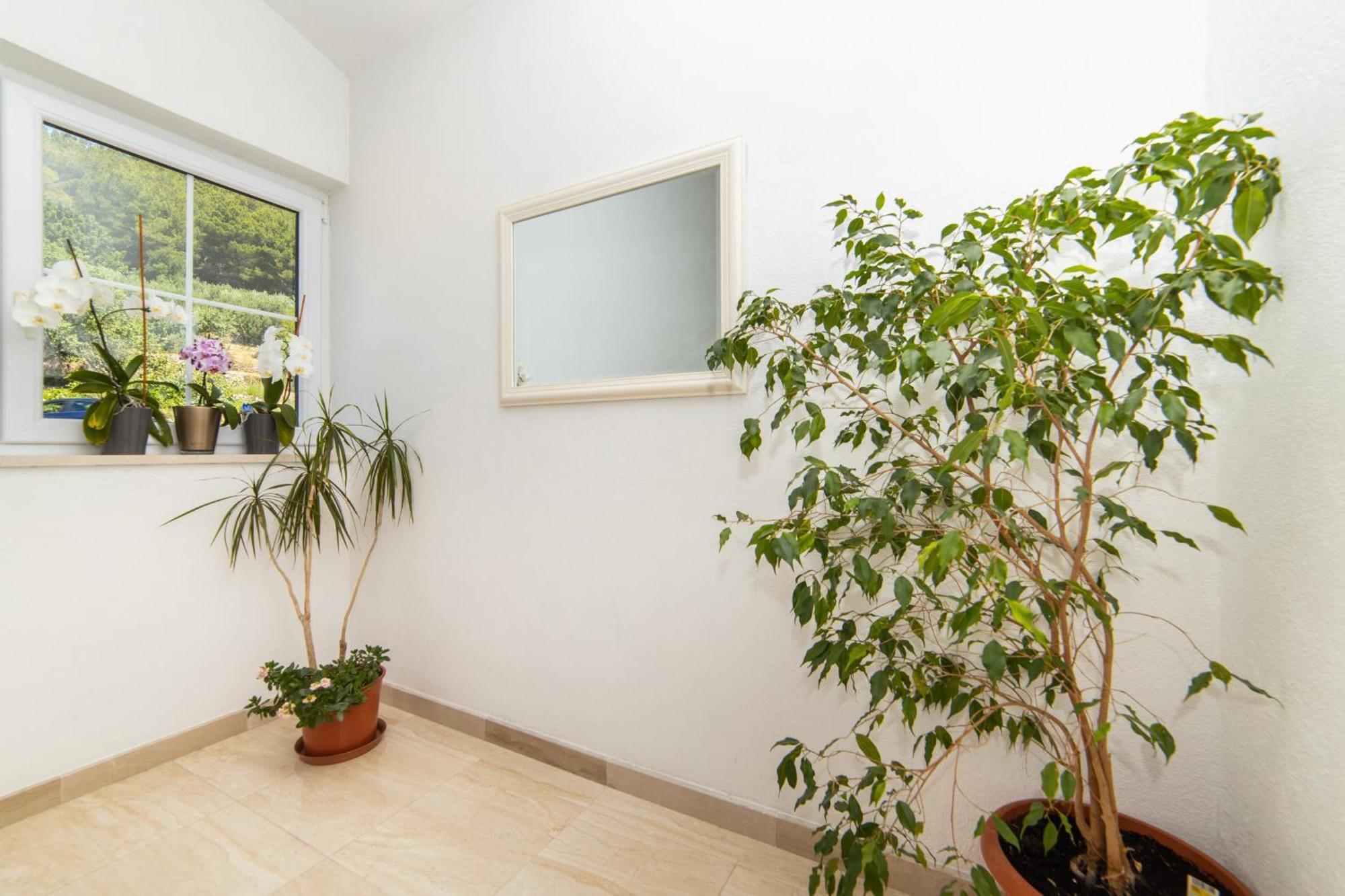 בריסט Apartments Tilda מראה חיצוני תמונה